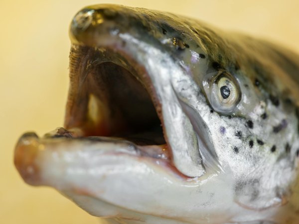 Améliorer sa performance sportive grâce à la respiration